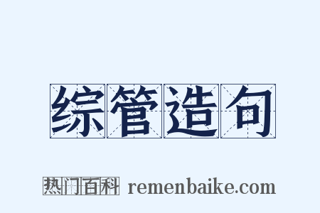 综管造句是什么意思的图片